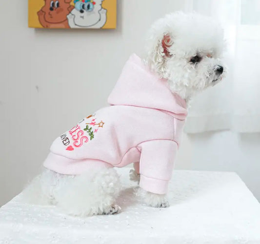 Princess Paw has arrived Hoodie | Pet apparels | limited stocks | pet needs