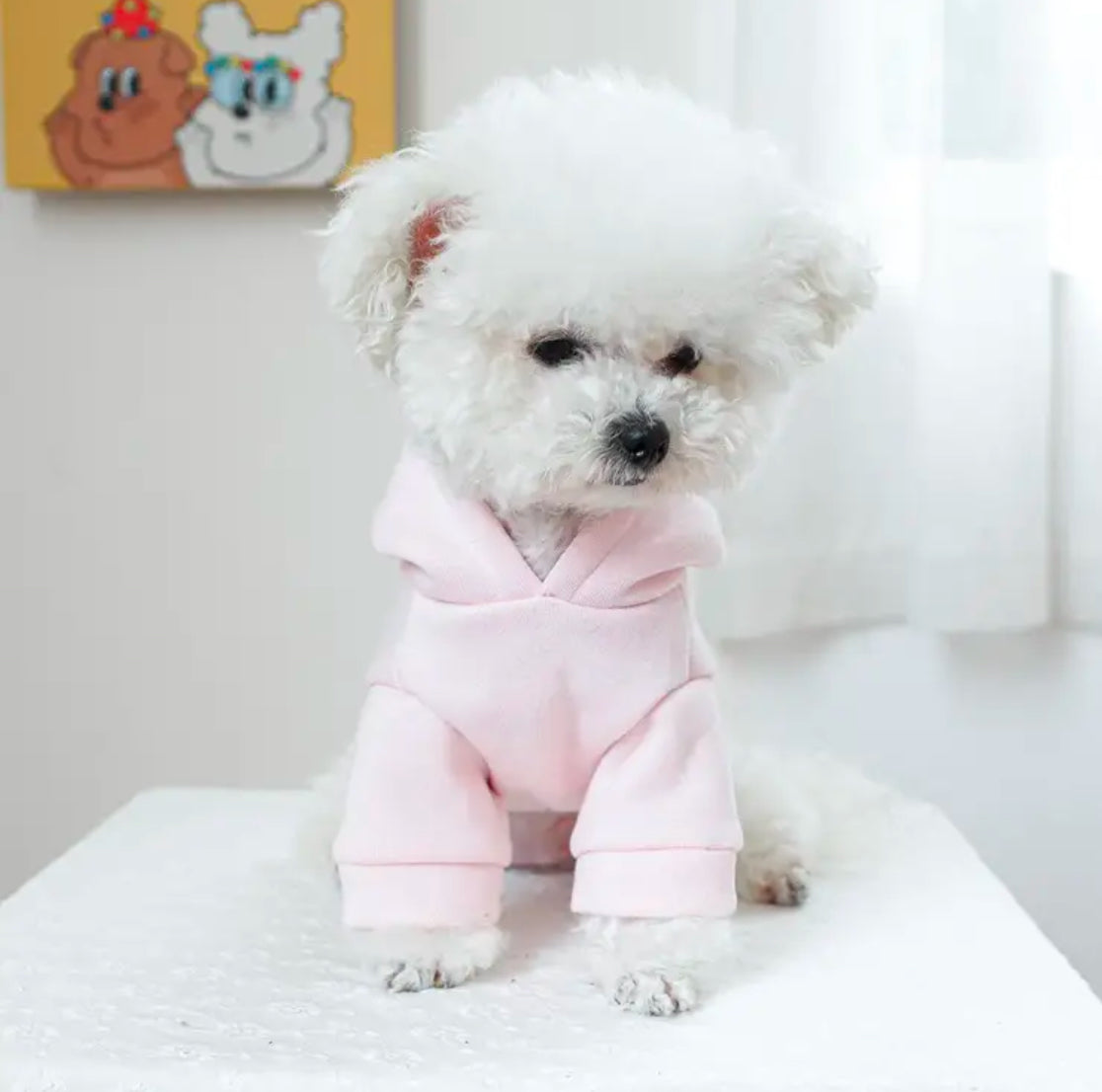 Princess Paw has arrived Hoodie | Pet apparels | limited stocks | pet needs