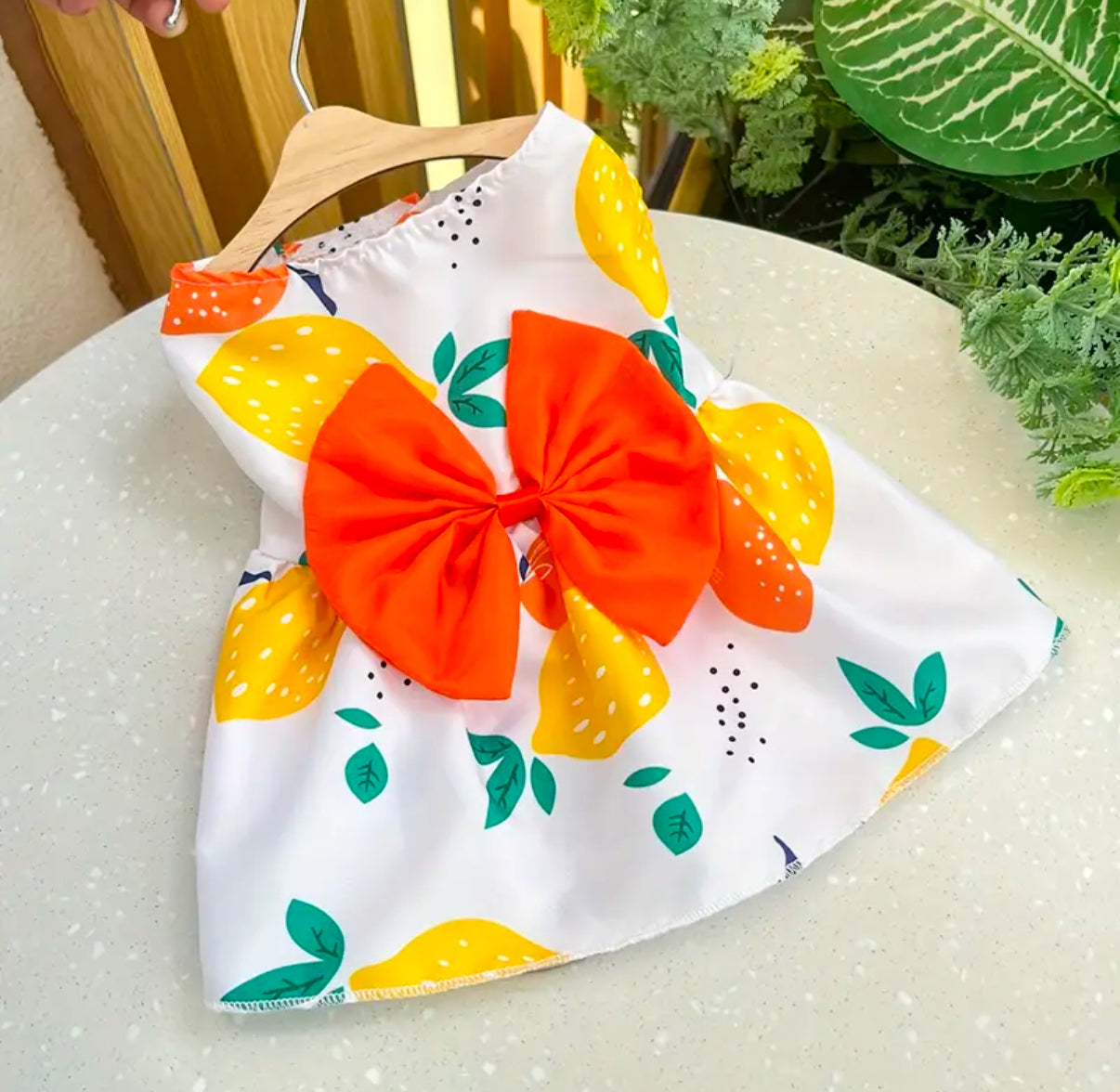 Floral Paw Pet Dress | Spring or Summer Dress for your paw loves | pet apparels | limited stocks | pet needs