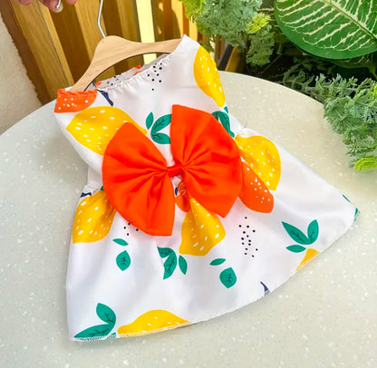 Floral Paw Pet Dress | Spring or Summer Dress for your paw loves | pet apparels | limited stocks | pet needs