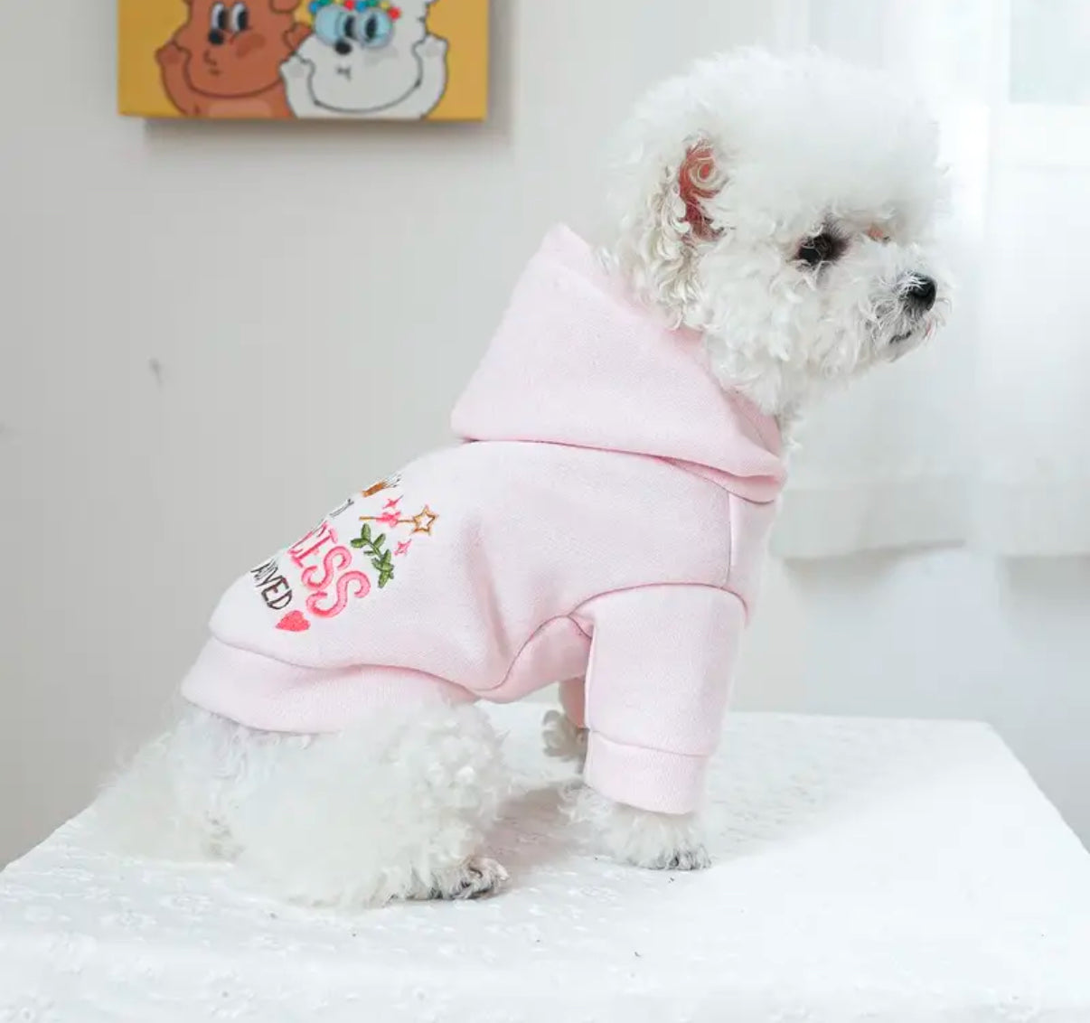 Princess Paw has arrived Hoodie | Pet apparels | limited stocks | pet needs