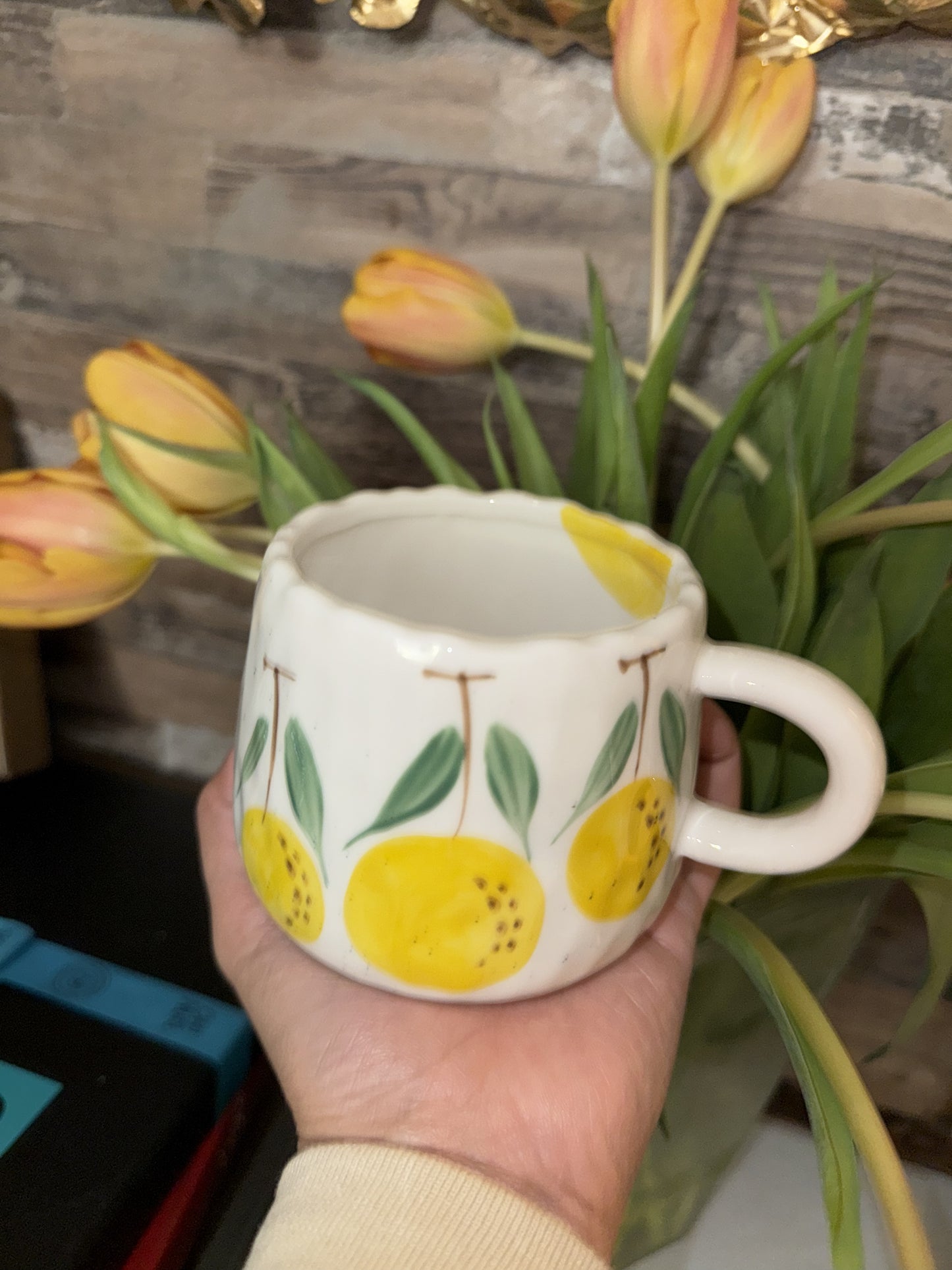 Fruit Pattern Ceramic Mug | Hot or  Cold | 295 mL or 10 fl oz | 1 piece | Limited Stocks