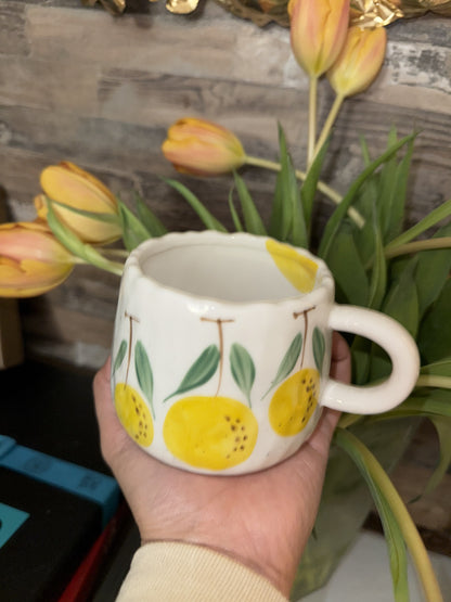 Fruit Pattern Ceramic Mug | Hot or  Cold | 295 mL or 10 fl oz | 1 piece | Limited Stocks